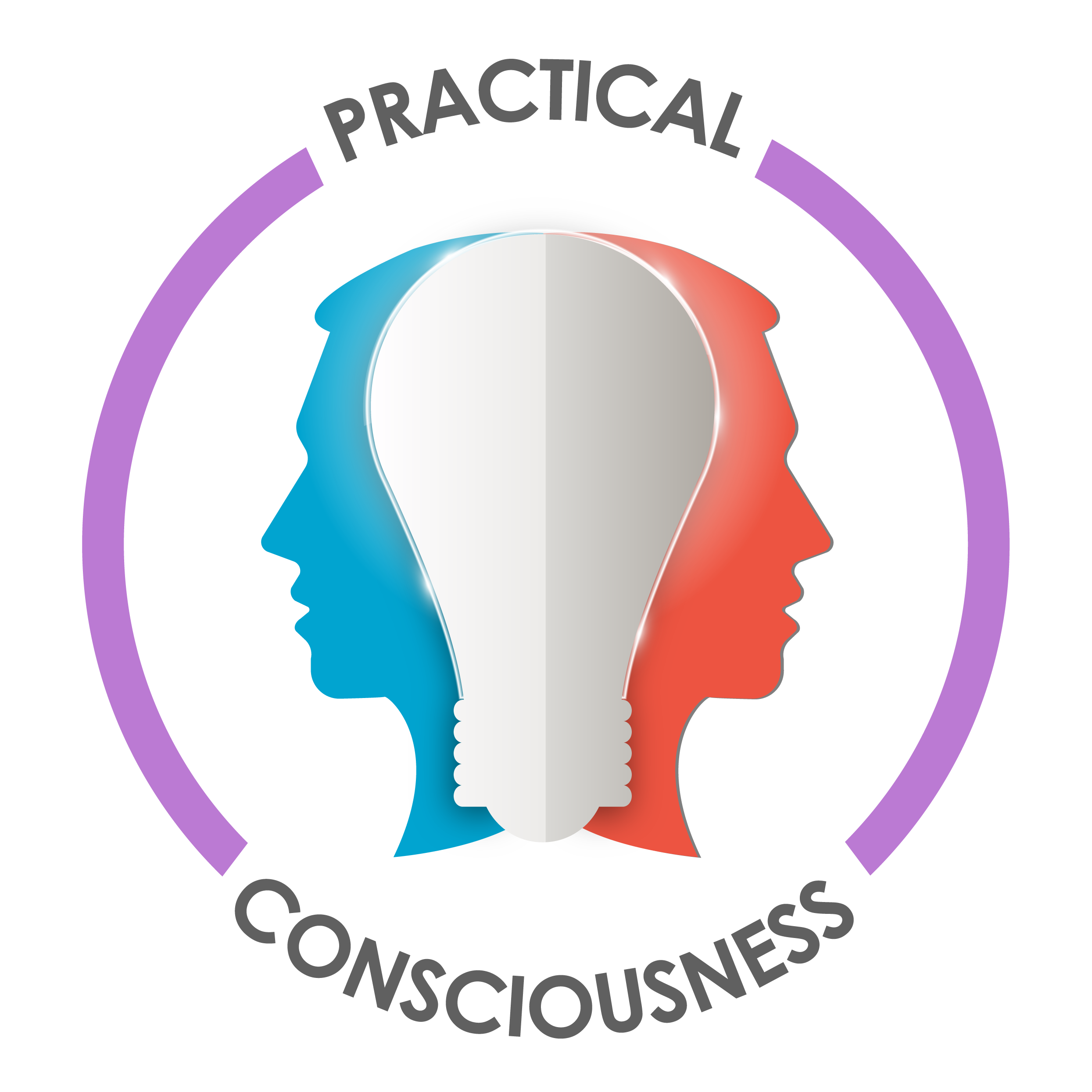 Practical Consciousness Logo