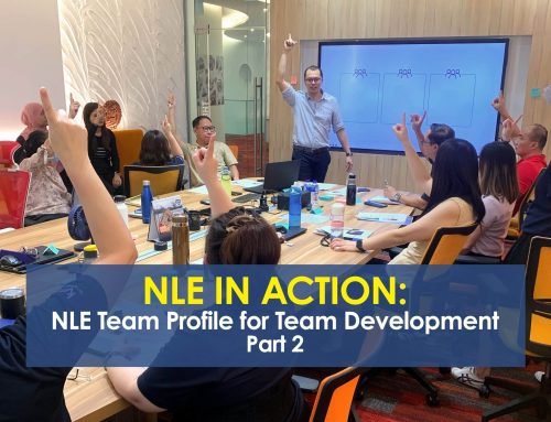 Neuro-Linguistic Enneagram (NLE) in Action: NLE Team Profile for Team Development (Part 2)